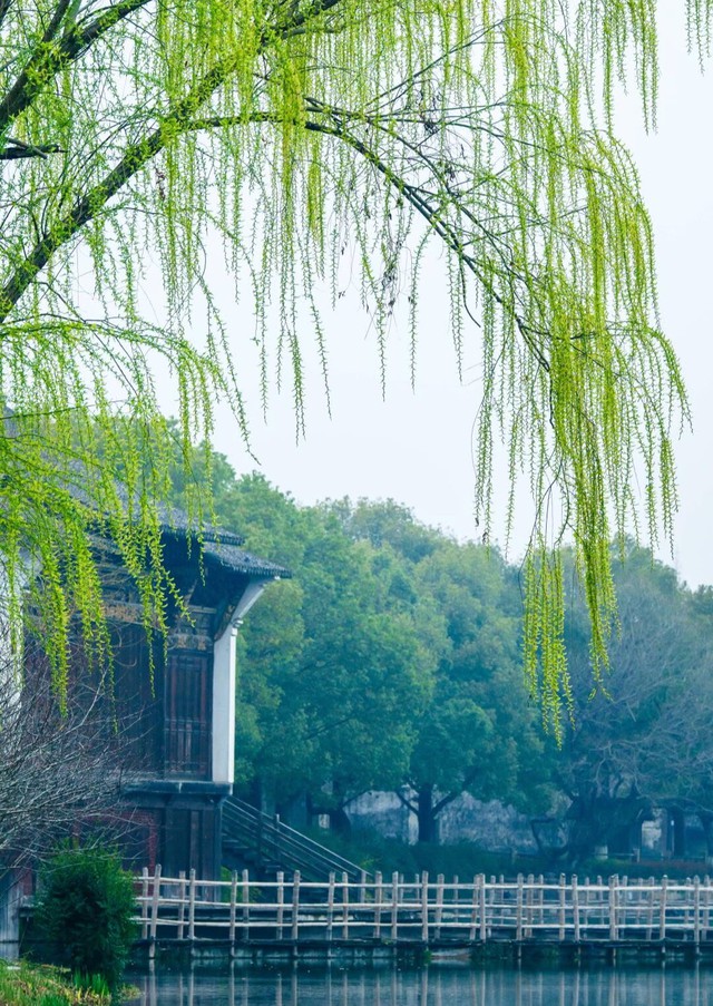 Giờ sinh &Acirc;m lịch của những người chăm chỉ nhất, hậu vận h&aacute;i quả ngọt - Ảnh 2.