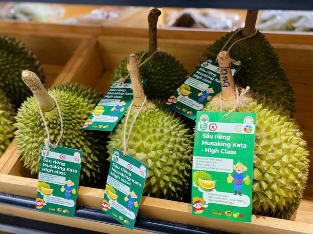 Sầu Musang King c&oacute; g&igrave; đặc biệt m&agrave; được người ti&ecirc;u d&ugrave;ng v&iacute; l&agrave; &lsquo;vua sầu ri&ecirc;ng&rsquo;? - Ảnh 4.