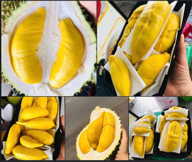 Sầu Musang King c&oacute; g&igrave; đặc biệt m&agrave; được người ti&ecirc;u d&ugrave;ng v&iacute; l&agrave; &lsquo;vua sầu ri&ecirc;ng&rsquo;? - Ảnh 2.