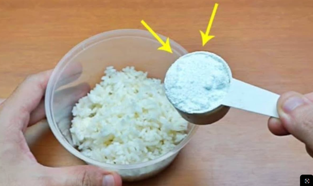 Đừng tốn tiền mua hóa chất, kết hợp hai thứ này sẽ giúp bạn đuổi sạch gián, chuột vừa an toàn lại tiết kiệm - Ảnh 2.