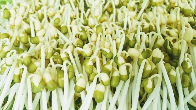 Loại rau b&igrave;nh d&acirc;n dễ l&agrave;m, ăn v&agrave;o tốt cho sức khỏe, đặc biệt ngăn ngừa đột quỵ v&agrave; bệnh tim mạch - Ảnh 2.