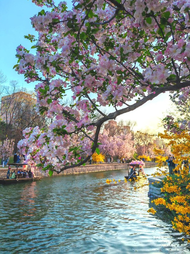 Ngày sinh Âm lịch của người khôn ngoan, sắc sảo - Ảnh 3.