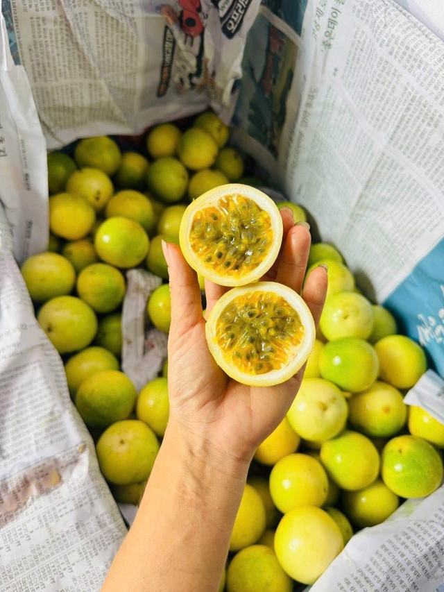 Loại chanh vỏ v&agrave;ng &oacute;ng, c&oacute; hương thơm của ổi đang được chị em thi nhau 'săn đ&oacute;n' tr&ecirc;n thị trường - Ảnh 2.