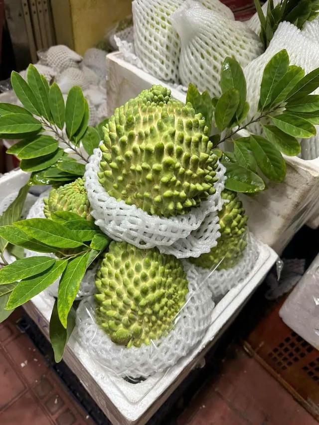 Loại na đặc biệt quả to tới 2kg, thịt dày, ít hạt, vị ngọt béo tốt cho sức khỏe - Ảnh 2.