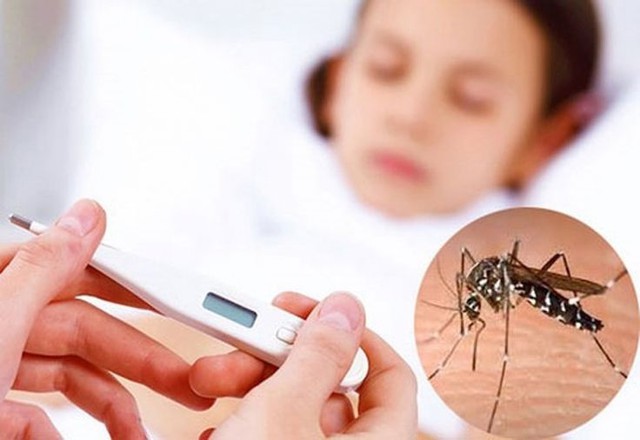 Người từng mắc sốt xuất huyết rồi c&oacute; c&ograve;n bị mắc lại? B&aacute;c sĩ cảnh b&aacute;o điều m&agrave; nhiều người vẫn hiểu sai - Ảnh 1.