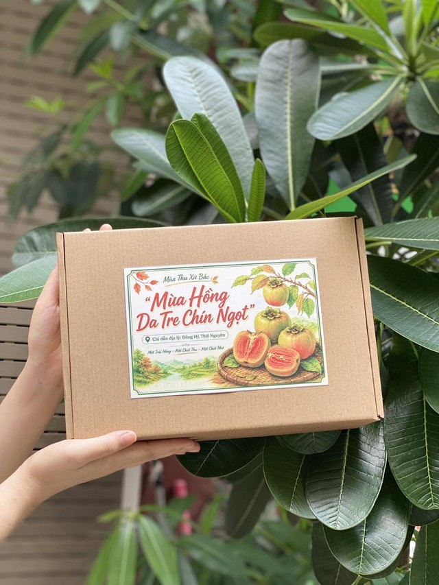 Tiểu thương l&yacute; giải nguy&ecirc;n nh&acirc;n gi&aacute; hồng gia tre đắt ngang hoa quả nhập khẩu nhưng vẫn được người ti&ecirc;u d&ugrave;ng thi nhau t&igrave;m kiếm - Ảnh 4.