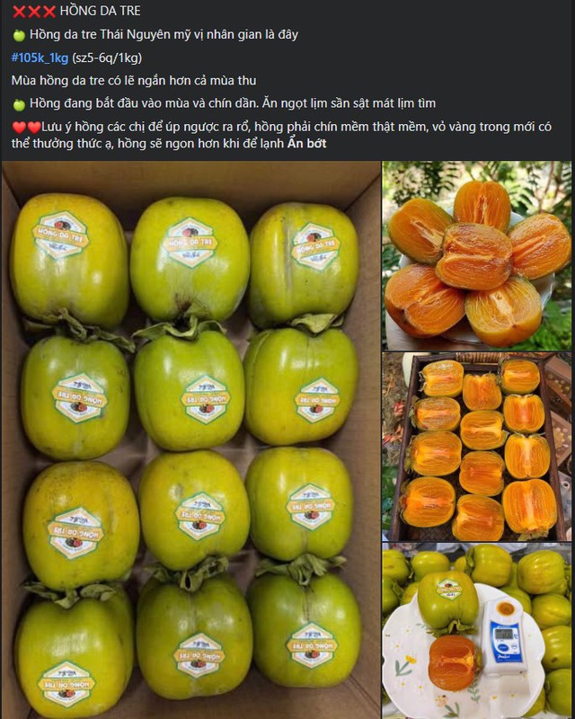 Hồng da tre có gì đặc biệt mà giá gần 200.000 đồng/kg vẫn được chị em thi nhau ‘săn đón’? - Ảnh 3.