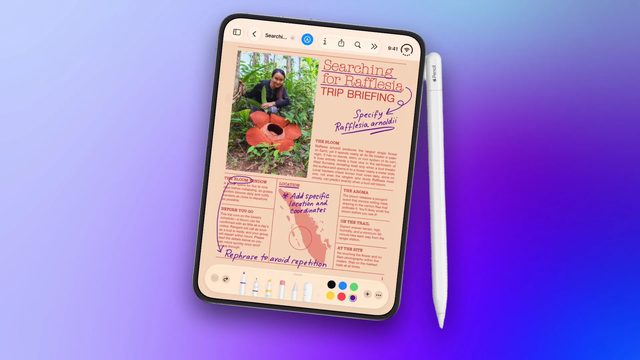 Vì sao iPhone Duo có thể thay đổi cách người dùng đọc tài liệu trên iPhone? - Ảnh 3.