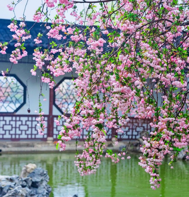 Giờ sinh &Acirc;m lịch của người dễ được l&ograve;ng đồng nghiệp, sự nghiệp rộng mở - Ảnh 1.