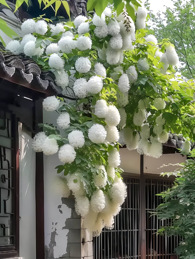 Th&aacute;ng sinh &Acirc;m lịch của người c&oacute; t&iacute;nh c&aacute;ch ấm &aacute;p, sống khi&ecirc;m nhường n&ecirc;n dễ gặp qu&yacute; nh&acirc;n - Ảnh 1.