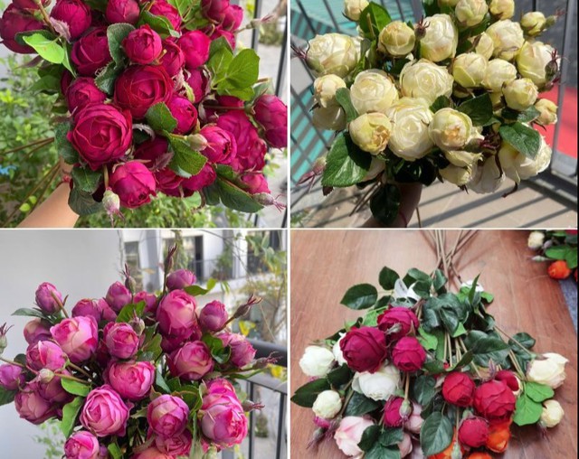 Những đồ vật đại kỵ kh&ocirc;ng đặt trước cửa nh&agrave;, đặc biệt l&agrave; nhặt ngo&agrave;i đường mang về - Ảnh 3.