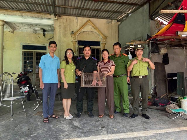 Ph&aacute;t hiện trăn đất qu&yacute; hiếm trong vườn, người d&acirc;n tự nguyện giao nộp  - Ảnh 1.
