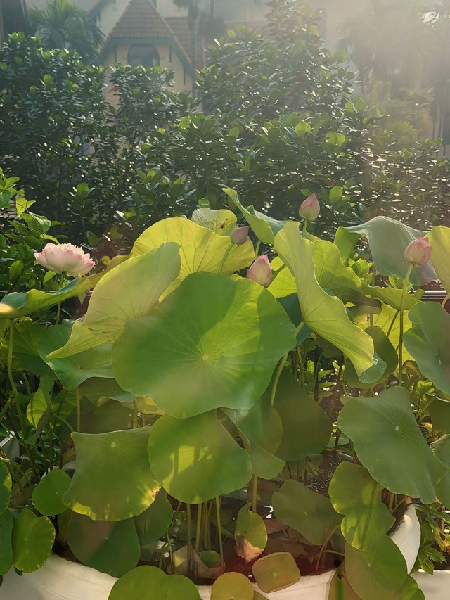 Khoảnh khắc b&igrave;nh dị của Hoa hậu Nguyễn Thị Huyền  - Ảnh 1.