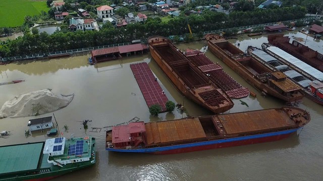 Ninh Bình yêu cầu xử lý vi phạm đê điều tại sông Đáy xã Ý Yên - Ảnh 3.