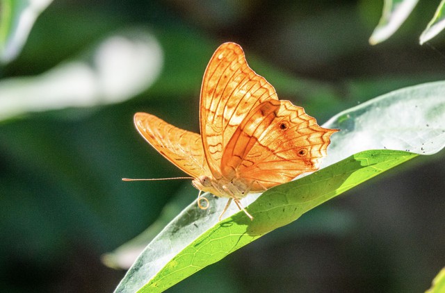 Số cuối ng&agrave;y sinh &Acirc;m lịch của người c&agrave;ng sống c&agrave;ng c&oacute; ph&uacute;c, hậu vận dễ đủ đầy - Ảnh 4.