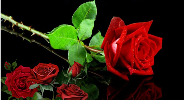Đồ vật đại kỵ l&agrave;m qu&agrave; tặng, đặc biệt sai lầm cần tr&aacute;nh khi tặng qu&agrave; trong ng&agrave;y lễ  - Ảnh 2.