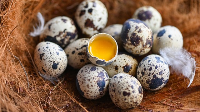 Mẹo luộc trứng c&uacute;t ngon ngọt, kh&ocirc;ng bị vỡ, dễ b&oacute;c vỏ kh&ocirc;ng phải ai cũng biết - Ảnh 1.