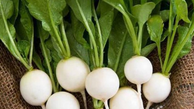 Lợi &iacute;ch của củ cải trắng với sức khỏe, đặc biệt với người tiểu đường, vi&ecirc;m khớp - Ảnh 2.