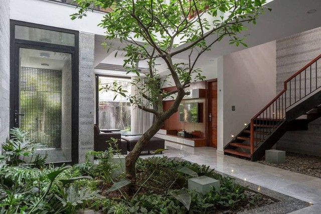 V&igrave; sao nh&agrave; hướng T&acirc;y lu&ocirc;n n&oacute;ng như 'l&ograve; b&aacute;t qu&aacute;i'? C&aacute;ch hạ nhiệt cấp tốc hiệu quả cho nh&agrave; phố - Ảnh 2.