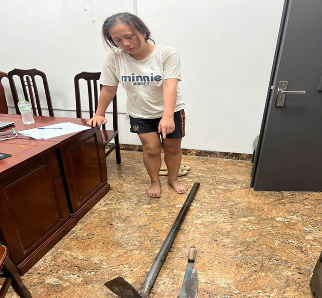 H&agrave; Nội khởi tố Nguyễn Thị Thu Hằng v&igrave; G&acirc;y rối trật tự c&ocirc;ng cộng năm 2026 - Ảnh 1.