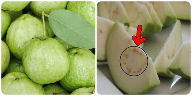 Ăn ổi có nên ăn cả vỏ và hạt không, công dụng, lưu ý và những ai nên tránh - Ảnh 1.
