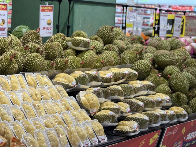Tiểu thương chỉ c&aacute;ch ph&acirc;n biệt sầu ri&ecirc;ng Ri6, Th&aacute;i Monthong, Musang King v&agrave; Black Thorn - Ảnh 2.