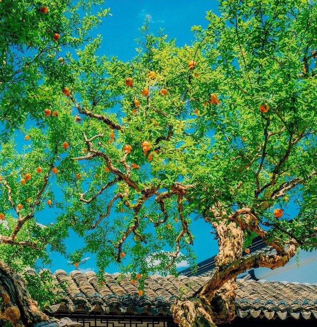 3 ngày sinh Âm lịch được ví như ‘chìa khóa tài lộc’, hậu vận cực an nhàn - Ảnh 1.