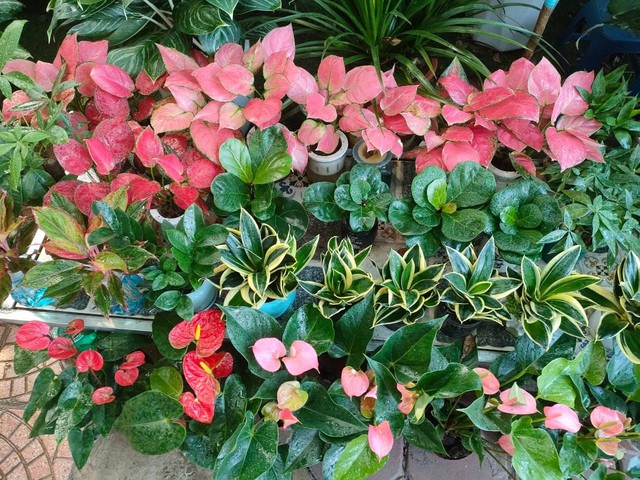 Những việc nên làm khi kết thúc tháng 7 âm để đón tháng 8 âm tài lộc, vận may khởi sắc - Ảnh 3.