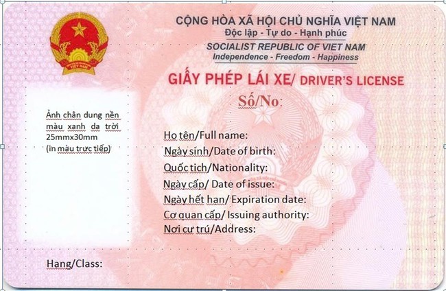 Cách thức nộp phạt ‘nguội’ và tham gia giao thông thế nào khi đang đợi cấp, đổi giấy phép lái xe- Ảnh 1.