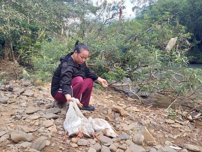 Th&aacute;i Nguy&ecirc;n: Nước s&ocirc;ng Cầu nhiều lần chuyển m&agrave;u lạ, c&ocirc;ng an tiếp tục x&aacute;c minh nguy&ecirc;n nh&acirc;n - Ảnh 2.
