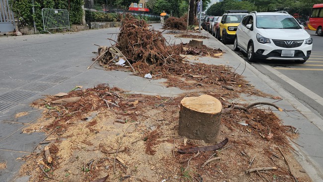 Hiện trạng n&uacute;t giao Dương Đ&igrave;nh Nghệ &ndash; Mễ Tr&igrave; trước ng&agrave;y x&acirc;y hầm chui 655m - Ảnh 4.
