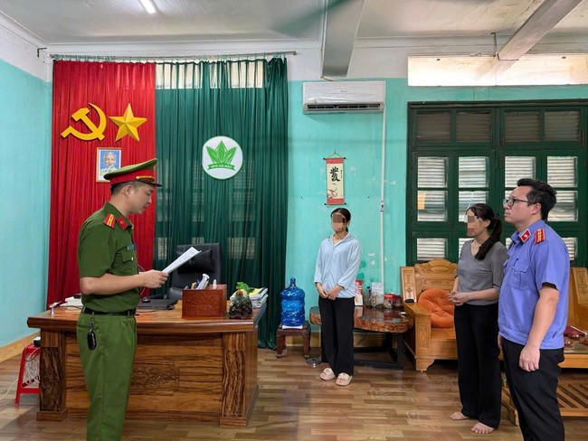 Khởi tố Chủ tịch HĐQT C&ocirc;ng ty Cổ phần Sản xuất ph&acirc;n b&oacute;n H&agrave; Bắc - Ảnh 1.