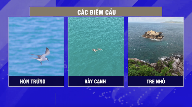 Thi&ecirc;n nhi&ecirc;n hoang d&atilde; C&ocirc;n Đảo qua truyền h&igrave;nh trực tiếp lần đầu tr&ecirc;n VTV 2026 - Ảnh 2.