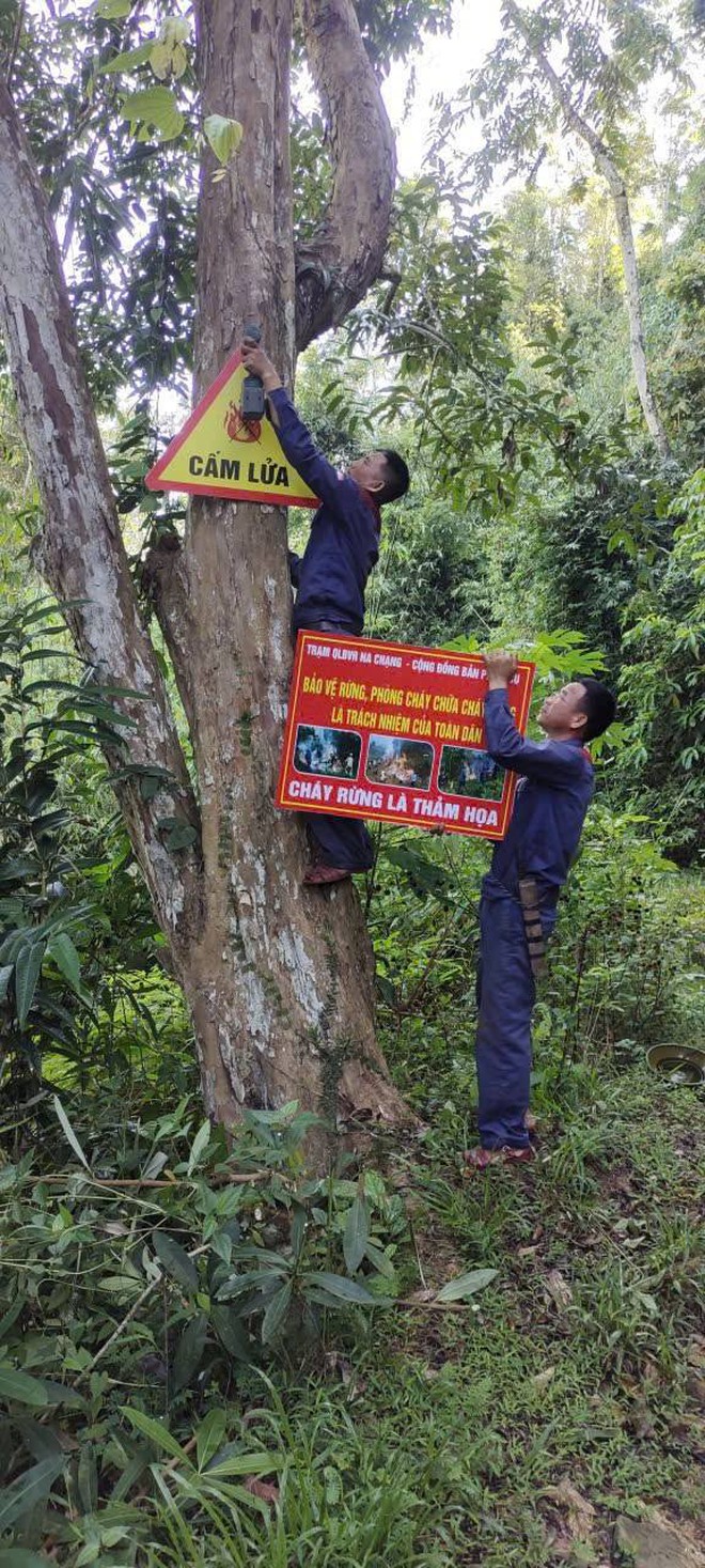Chủ tịch x&atilde; phải chỉ huy chữa ch&aacute;y rừng để bảo vệ t&agrave;i nguy&ecirc;n thi&ecirc;n nhi&ecirc;n năm 2026 - Ảnh 4.