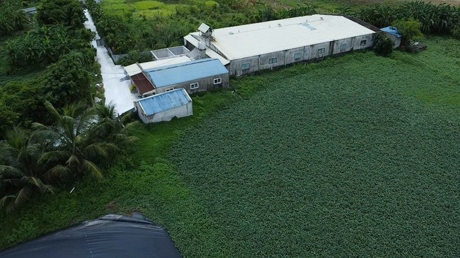 Rò rỉ nước thải, bốc mùi hôi nồng nặc tại một trang trại chăn nuôi ở Ninh Bình - Ảnh 3.
