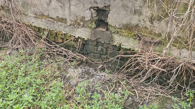 Rò rỉ nước thải, bốc mùi hôi nồng nặc tại một trang trại chăn nuôi ở Ninh Bình - Ảnh 7.