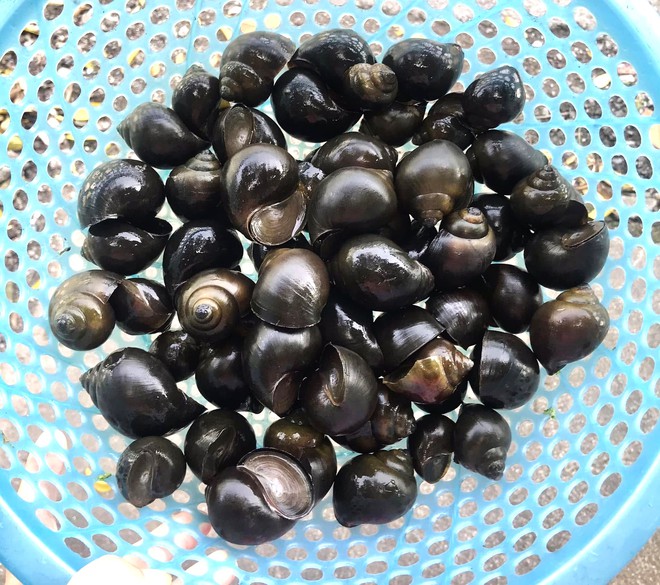 M&oacute;n ngon dễ l&agrave;m từ l&aacute; lốt cho bữa cơm gia đ&igrave;nh ng&agrave;y cuối tuần - Ảnh 3.