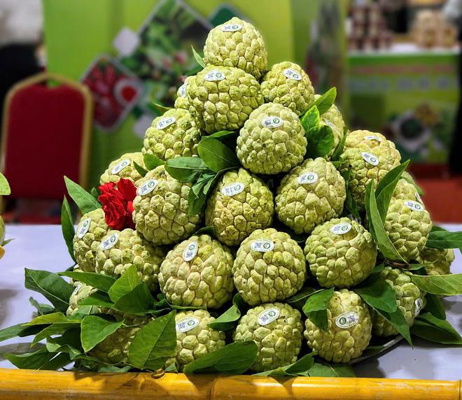 Đặc sản Lạng Sơn đến tay người ti&ecirc;u d&ugrave;ng H&agrave; Nội trong chương tr&igrave;nh Sức sống h&agrave;ng Việt - Ảnh 2.