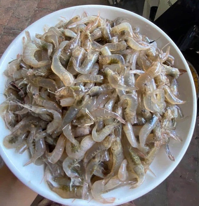 T&ocirc;m đồng rang l&aacute; lốt: M&oacute;n ăn gi&ograve;n thơm , giữ vị ngọt mềm cho bữa cơm gia đ&igrave;nh - Ảnh 4.