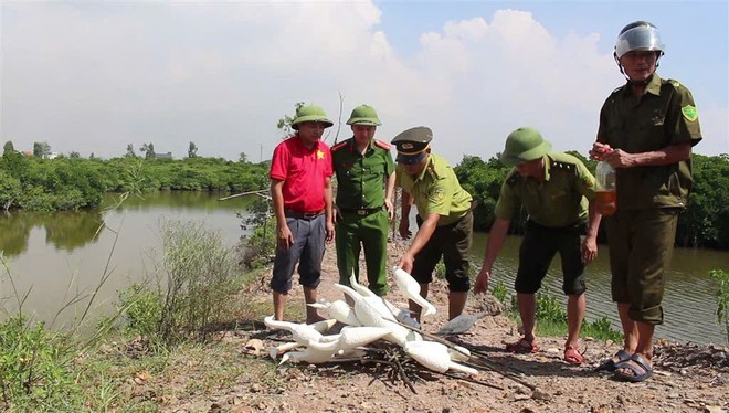 Lội đồng gỡ 'thi&ecirc;n la địa v&otilde;ng' bẫy chim trời - Ảnh 9.