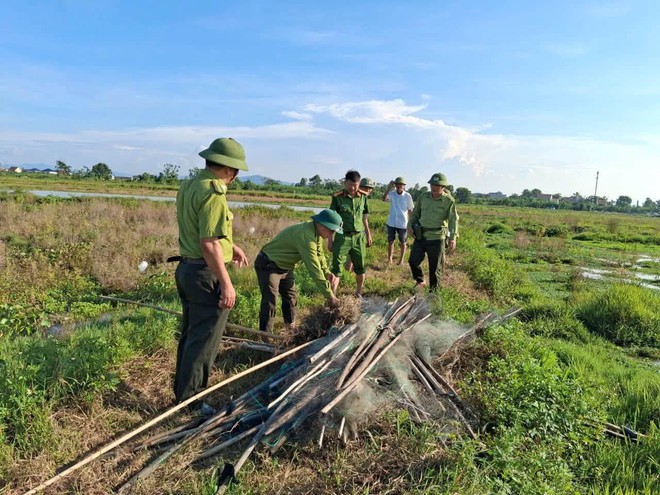 Lội đồng gỡ 'thi&ecirc;n la địa v&otilde;ng' bẫy chim trời - Ảnh 10.