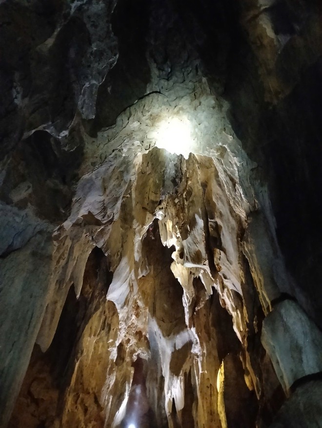 Ph&aacute;t hiện hang động nguy&ecirc;n sơ giữa rừng nguy&ecirc;n sinh ở Nghệ An - Ảnh 2.