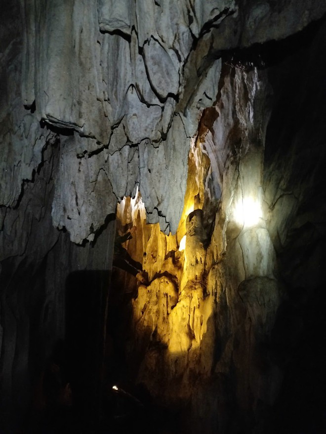 Ph&aacute;t hiện hang động nguy&ecirc;n sơ giữa rừng nguy&ecirc;n sinh ở Nghệ An - Ảnh 1.