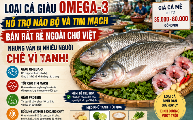 Loại cá giàu omega-3 hỗ trợ não bộ và tim mạch, bán rất rẻ ngoài chợ Việt, nhưng vẫn bị chê vì lý do này