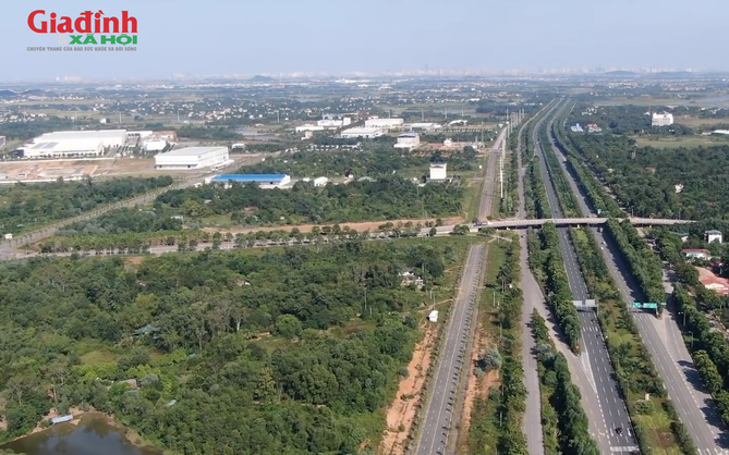 Tự ý chuyển mục đích sử dụng đất có được cấp sổ đỏ hay không?