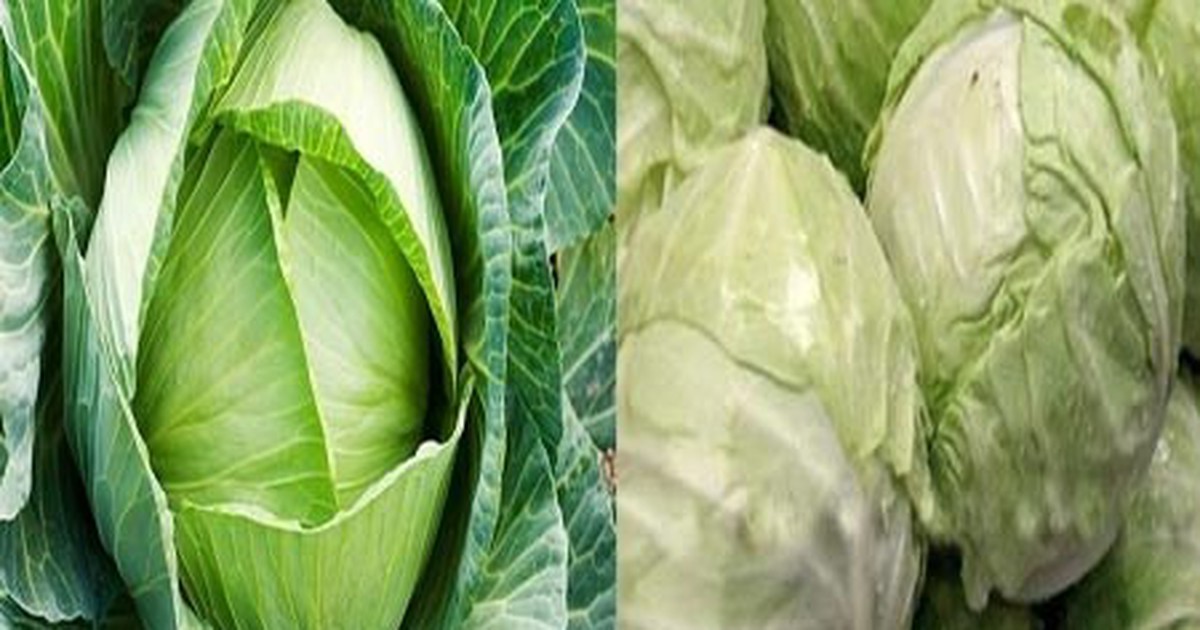 Mẹo phân biệt cà rốt, bắp cải, hành tây ta và Trung Quốc