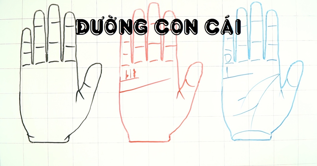 LUẬN GIẢI LÁ SỐ TỬ VI ĐỂ KHÁM PHÁ VẬN MỆNH VÀ PHÚC PHẦN ĐƯỜNG CON CÁI TRONG TƯƠNG LAI