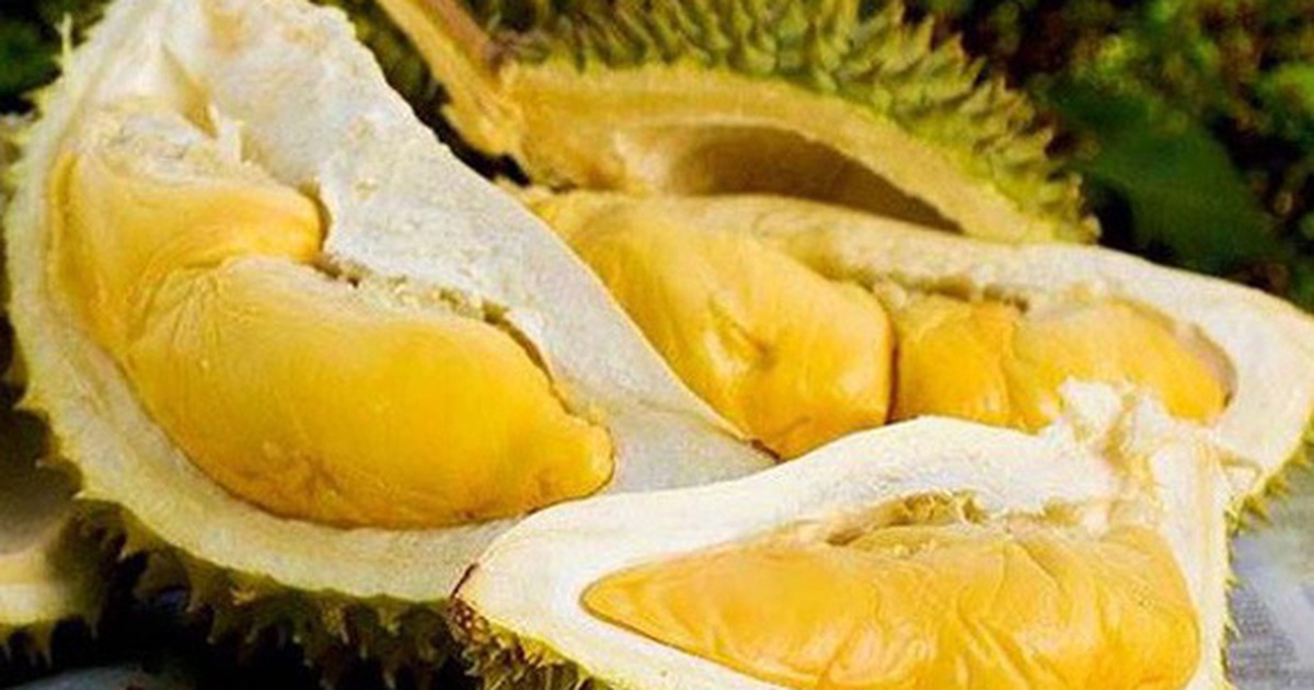 Sau Rae 7 sự thật