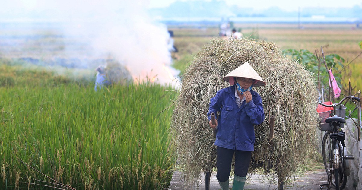 Từ 01/01/2021, Hà Nội không còn hoạt động đốt rơm rạ