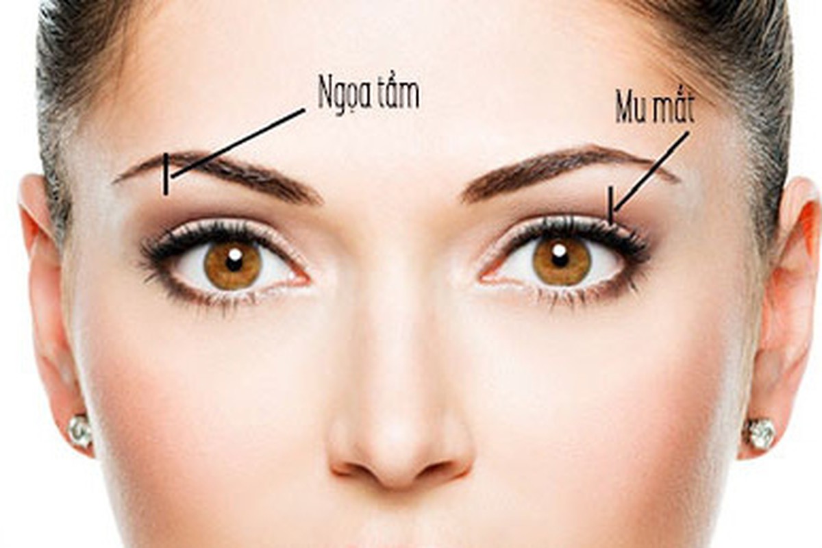 TƯỚNG SỐ NGƯỜI LÙN TRONG QUAN NIỆM XEM MẶT ĐOÁN VẬN MỆNH